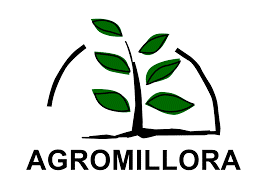 Agromillora