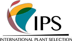 IPS
